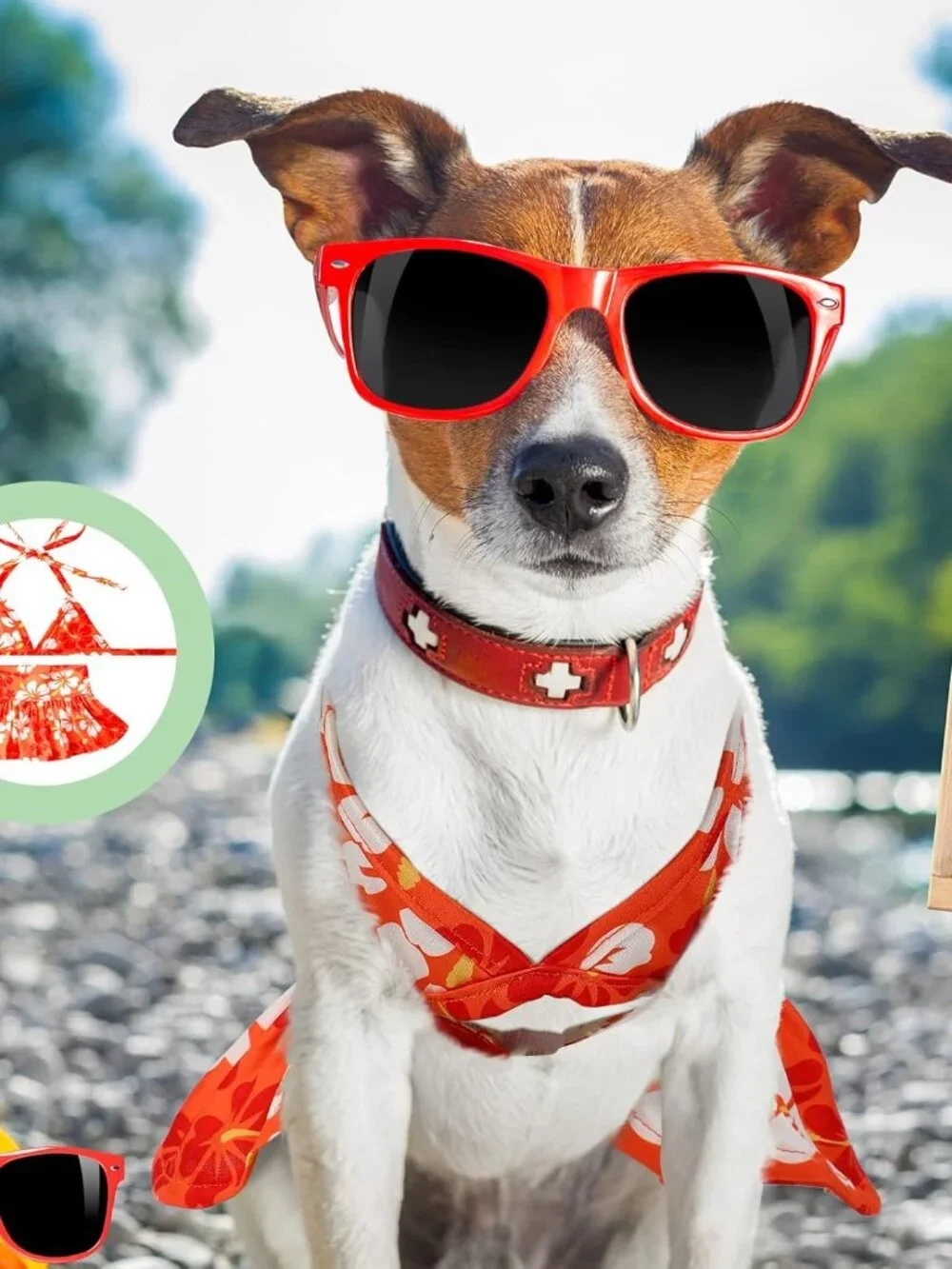 Amylove 4 Pack Small Dog Bikini Summer Bathing Suits for Puppy Doggies Swimsuit